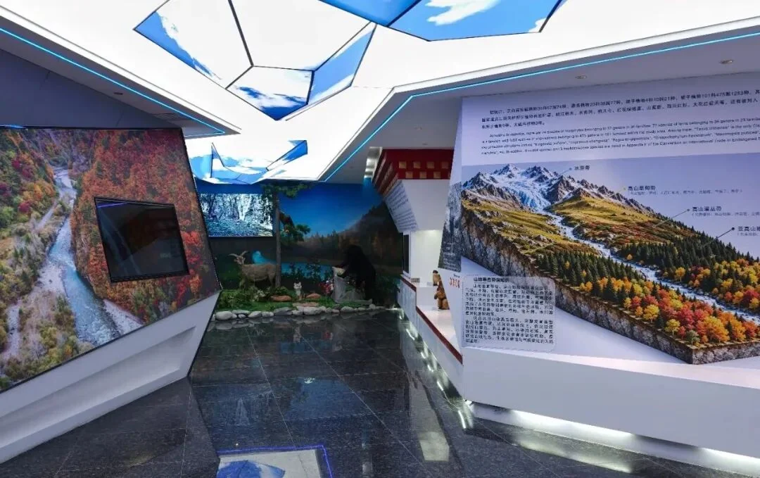 达古冰川国家地质公园地质博物馆展厅